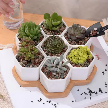 

Hexagonal Ceramic Succulent Plant Flower Pot Garden Planter Bamboo Tray Holder