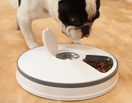 Автоматическая кормушка для домашних животных с 6 сетками диспенсер пищевых