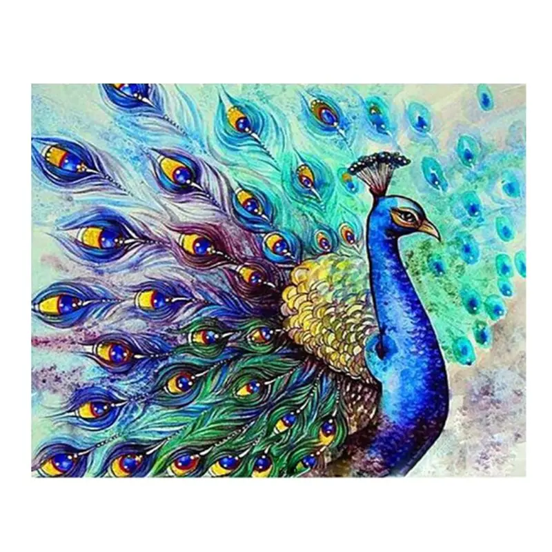 Peacock Digital Oil Painting By Numbers Canvas Wall Picture DIY Hand Painted NEW