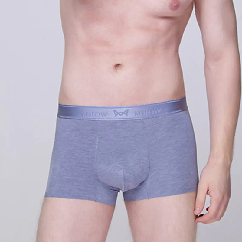 Men's Underwear Traceless MiiOW Boxers New Style Autumn And Winter Breathable Modal Men's Underwear - Цвет: Purple Blue