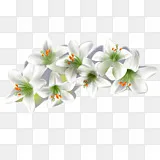 纯正香水百合花山谷香藍色幻夢 香水png图片素材免费下载 图片编号 Png素材网