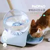 Pet Products