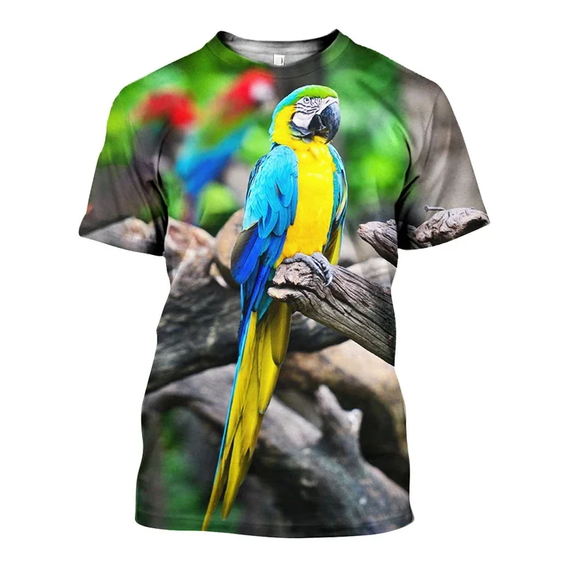 D_c_Blue_Yellow_Macaw_3D_DT301011_TS_800x