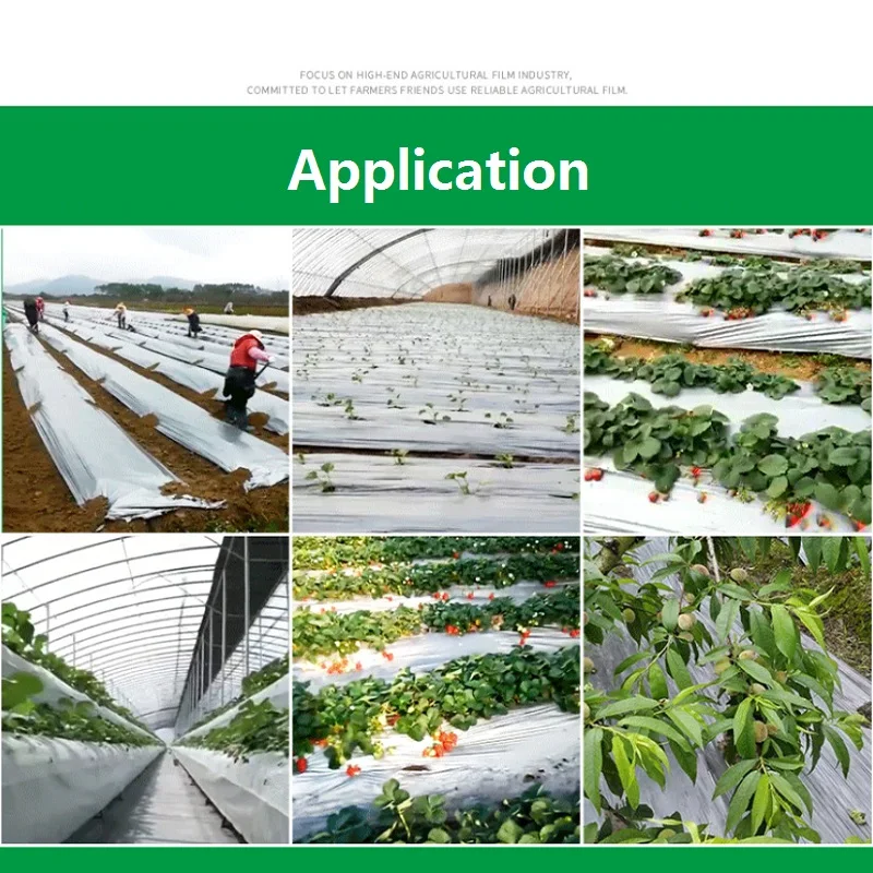 QQ图片20191216165739