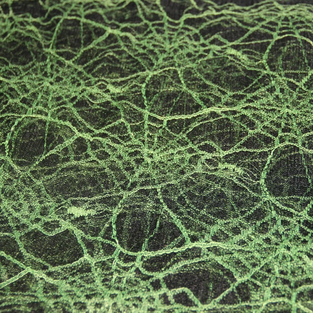 IMG_9320