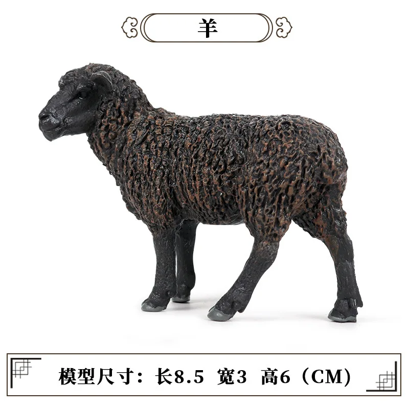 11126558013_1464955482