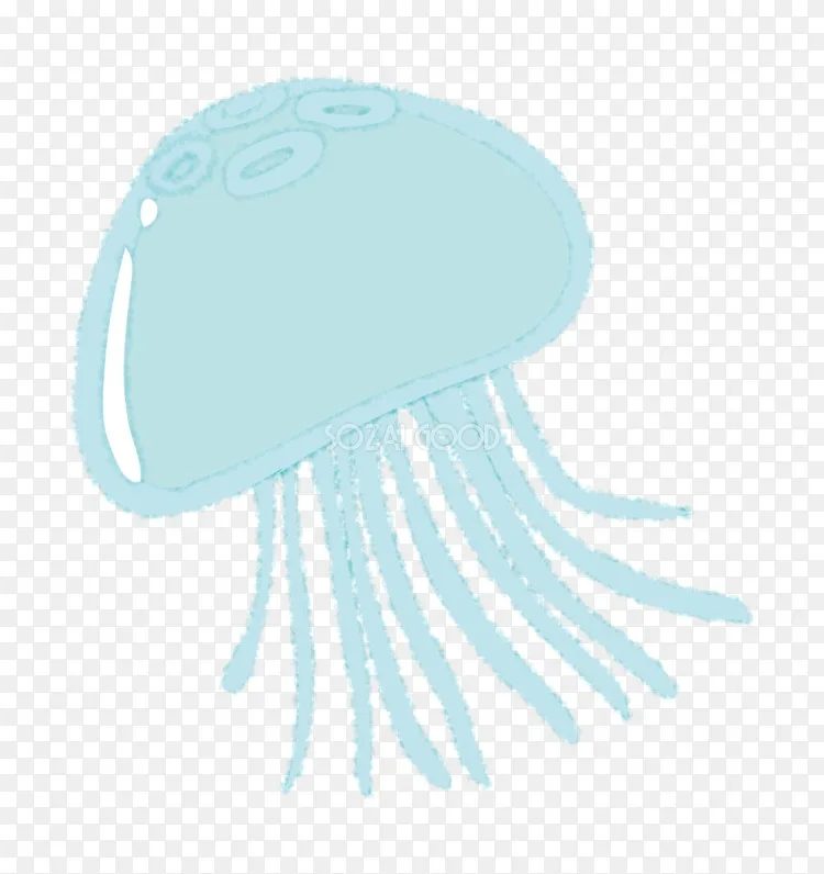 水母插图海月果冻kamo水族馆 夏季png图片素材免费下载 图片编号 Png素材网 水母插图海月果冻kamo水族馆 夏季png图片素材免费下载 图片编号 Png素材网