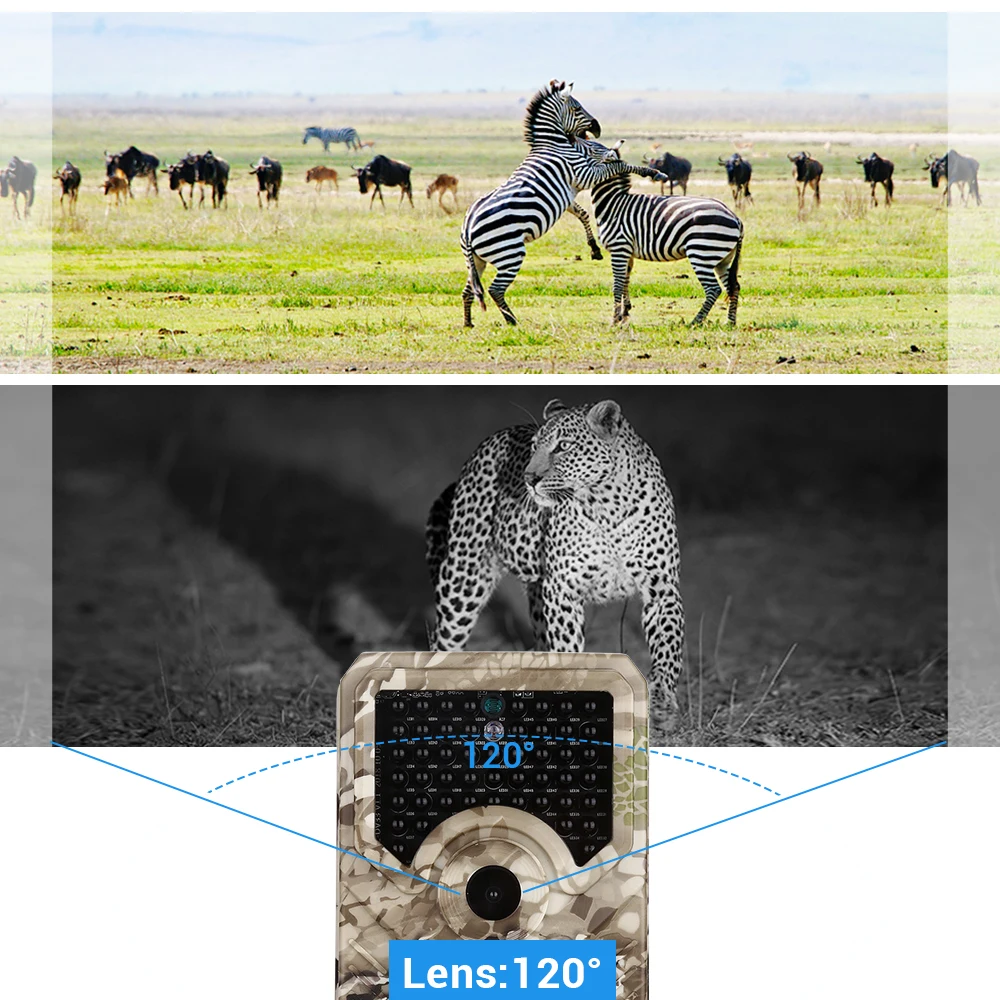 64d19e1f-719e-e7b9-3451-036e41232c22