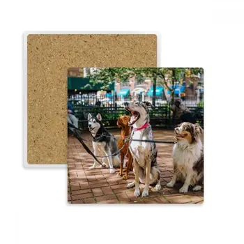 

Handsome Dogs Pet Animal Picture Square Coaster Cup Mug Holder Absorbent Stone for Drinks 2pcs Gift