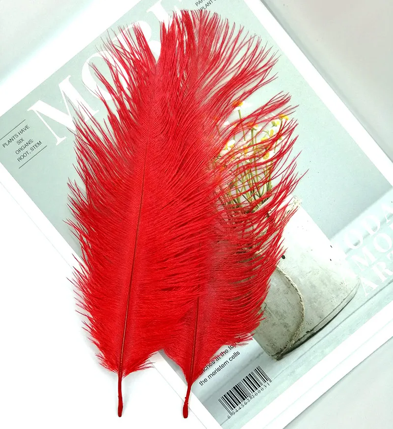 Высокое качество белые натуральные перья страуса ins Аксессуары для фотографии DIY украшения для браслета кольца ювелирные изделия Помада Макияж - Цвет: Red