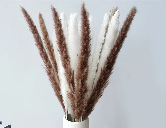 15Pcs Dried Reed Flower Arrangement Natural Pampas Grass For  Modern Home Decoration Party Backdrops Wedding Supplies 2 colors