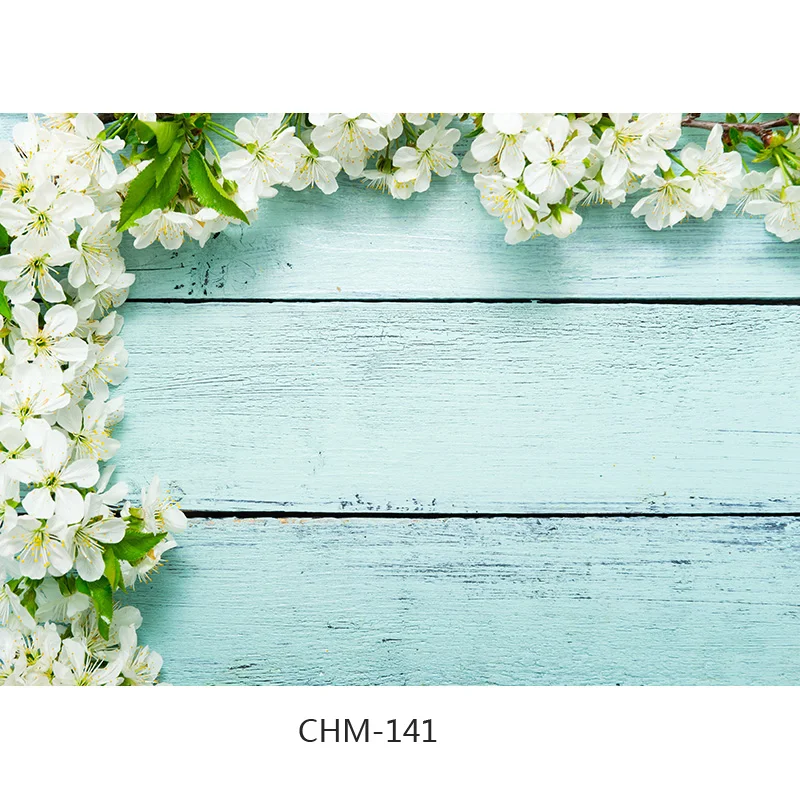      ǰ   κ  Ʃ  21710 CHM-13