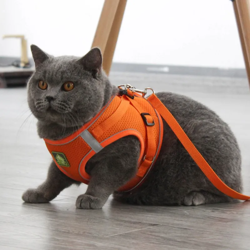 

Pet Breathable Harness And Leash Set Dog Cat Polyester Mesh Super Light Reflective Chest Strap NEW