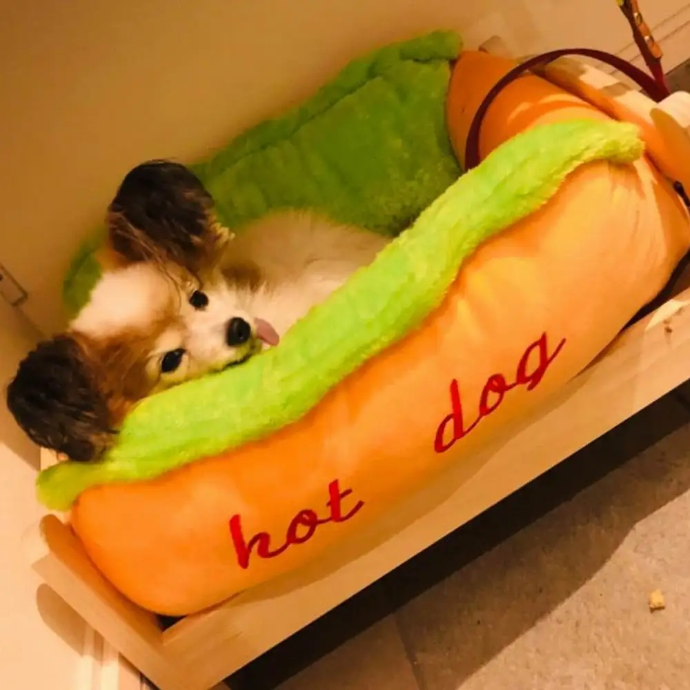 Unique Dog Beds