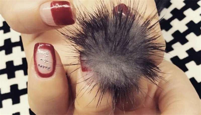 HTB1_ZJyaU_rK1Rjy0Fcq6zEvVXai