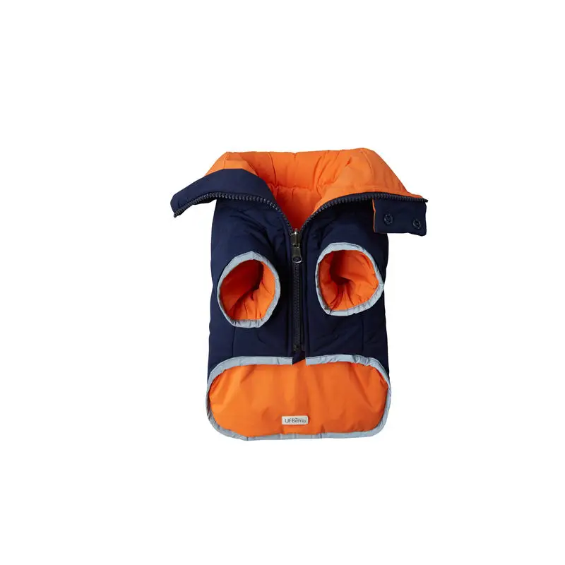 20190807猫铃铛6430