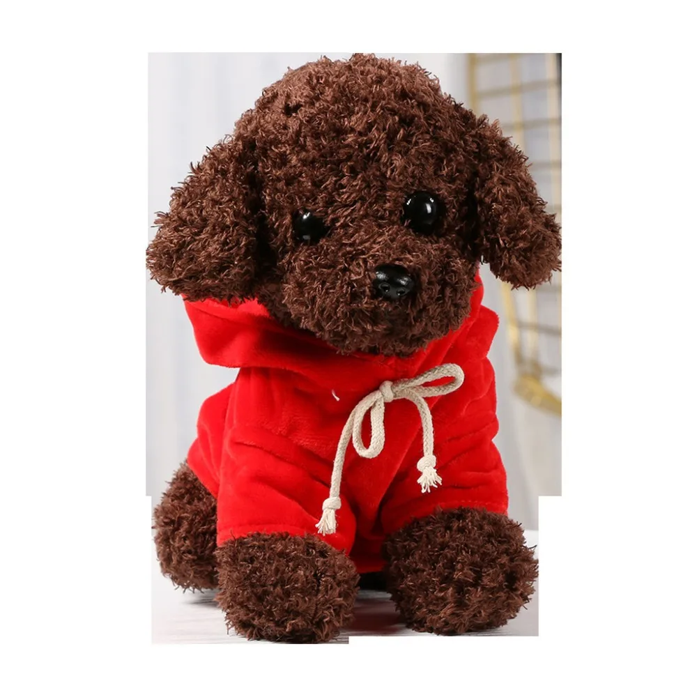 Teddy Dog Rag  (16)