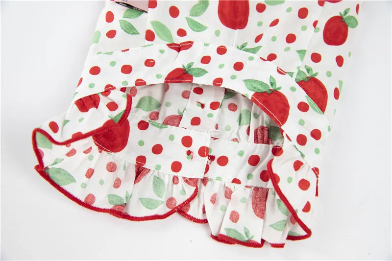 puppy dog shirt summer small dog (9)