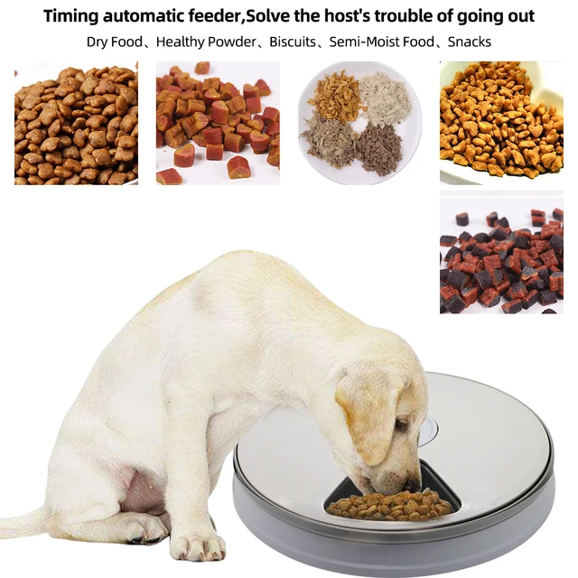 Awtomatiku Pets Feeder Bowl Dry Food Dispenser Jaħżen Għalf tal-Klieb Bil-Leħen Tfakkar 2