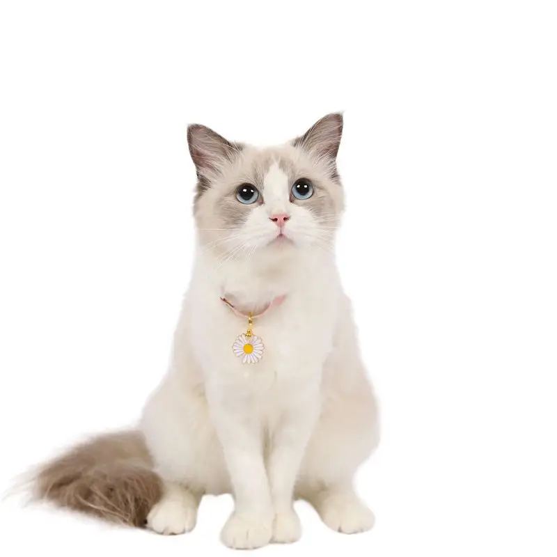 Coleira para Gatos Estilo Japonês | Coleira para Coelhos | Colar para Pets