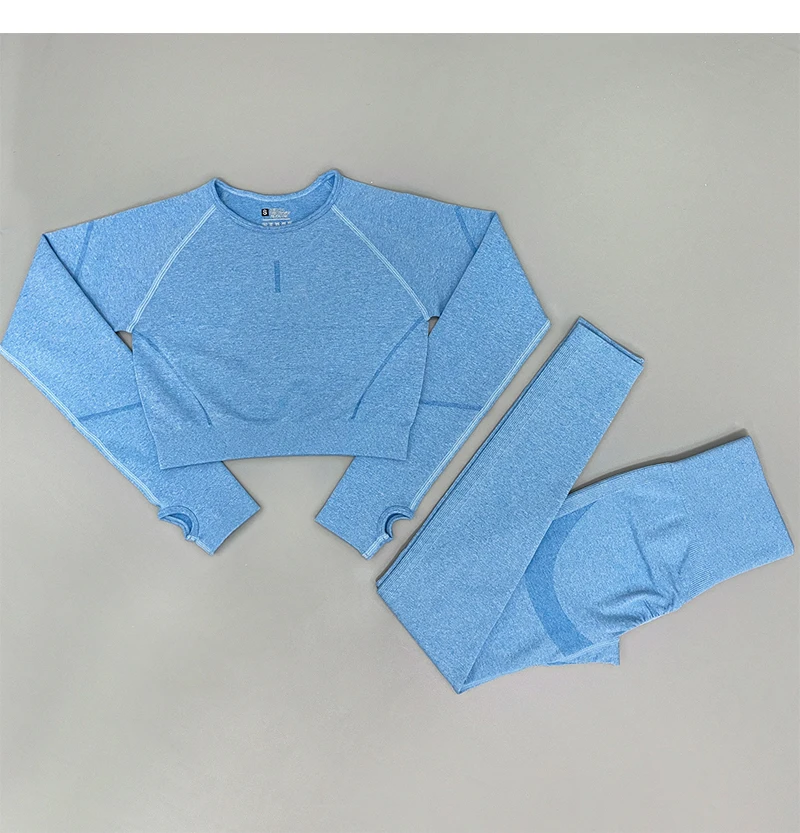 2PCS Seamless Yoga Set Women Tracksuit High Waist Leggings Workout Sportswear Gym Clothing Fitness Crop Top Sports Suits Gym Set