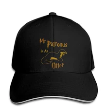 Бренд My Patronus-выдра, Мужская бейсболка, бейсболка, остроконечная Кепка