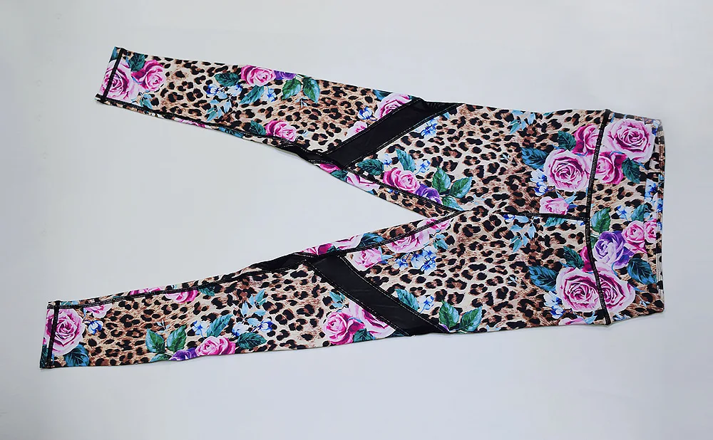 12653625369_46371432