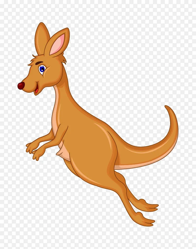 袋鼠剪贴画-袋鼠