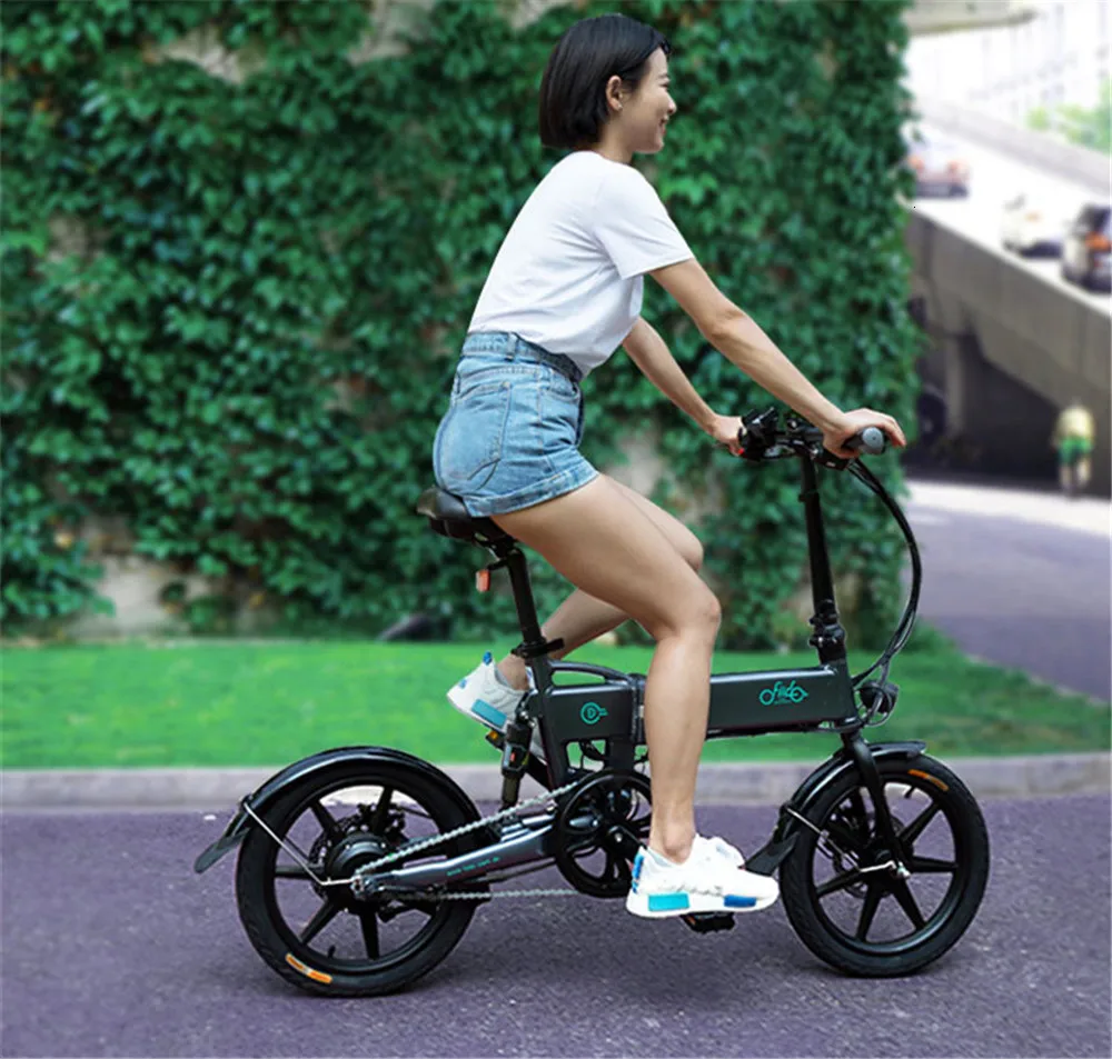 Top 16 Inch Fiido D2 Adult Electric Bicycle 2 Wheels Electric Bicycle Mini 250W Folding Portable Electric Bike 14