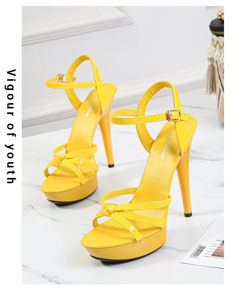 12999802109_2138732029