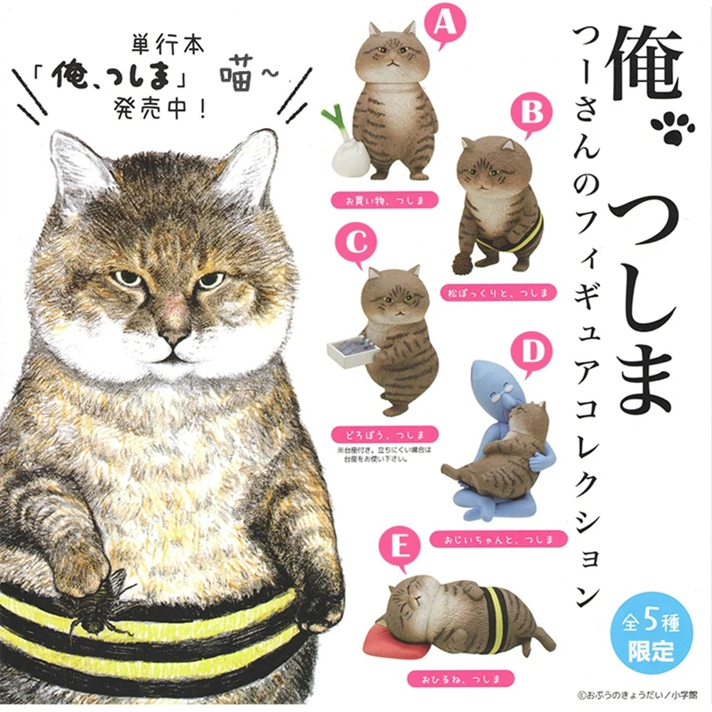 Счастливый бродячий Кот я кошка Tsushima глухая коробка яйцо толстый кот ручная