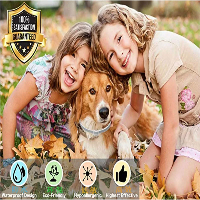 10729074426_1784203427