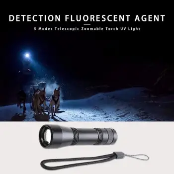 

Durable Flashlight Skillful Manufacture LED Flashlight Waterproof Type-C Rechargeable Lamp for Outdoor Hiking Camping