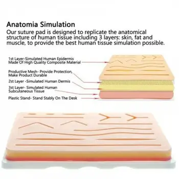 

Suture Training Kit Skin Operate Suture Practice Model Skin Needle Teaching Pad Kit Resource Training Scissor Suture Silico V9O9