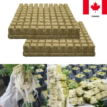 

2019 New Nursery Pots Grow Plug One Pack Grodan 1 Starter Plugs Cubes - rockwool hydroponic 50/100 pcs