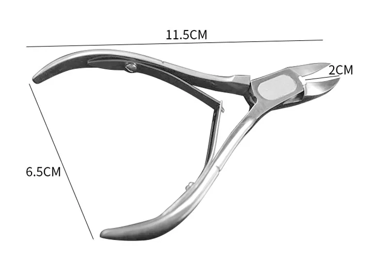 HTB1a4IUmpuWBuNjSszbq6AS7FXaN