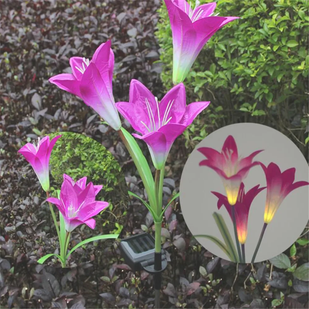 QQ图片20190927113416_副本