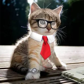 

Pet Dog Cat Formal Necktie Tuxedo Bow Tie Black and Red Collar for Dog Cat Pet Accessories Suit for small medium dogs and cats