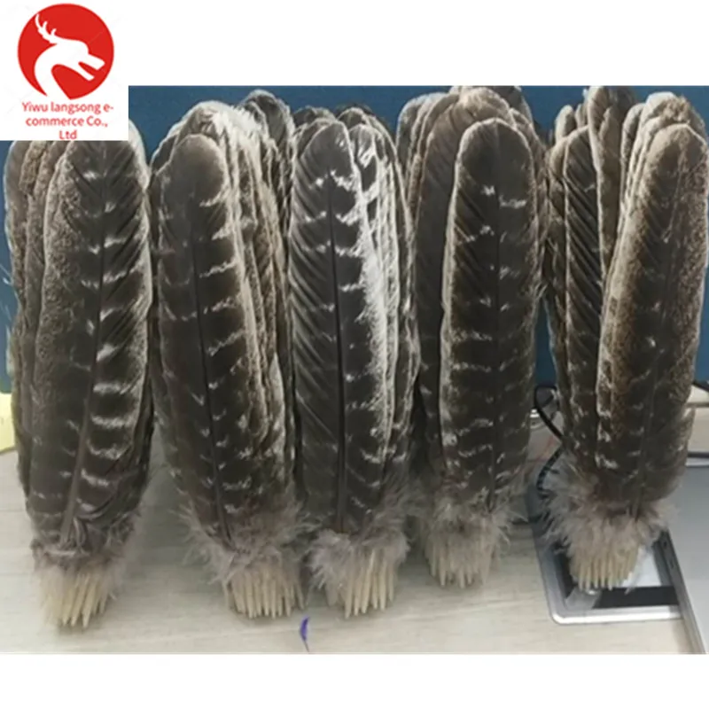 10/50/100 шт Высокое качество натуральные орлиные перья для Crafts10-11 дюймов/25-28 см