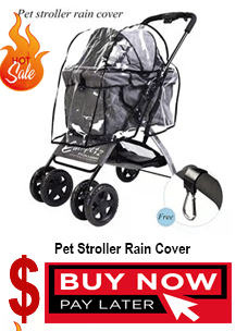 Title 31, Pet Carrier Dog Cat Puppy Kitty Carry Bag Outer...