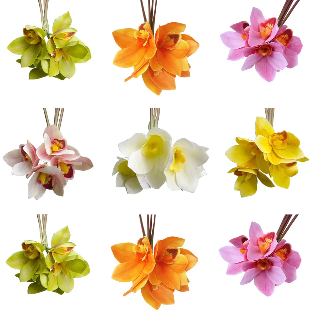 YYPA0091-1-YYPA0091-6-C1