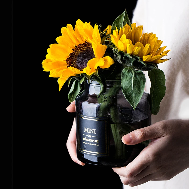 Скандинавские шикарные стеклянные бутылки для хранения скандинавские ваза