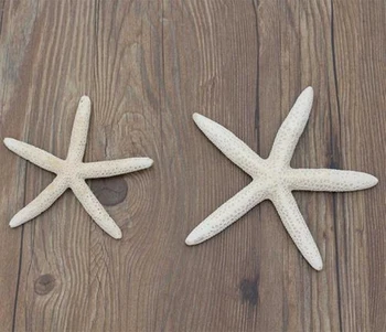 

1pcs (10-12cm,14-16cm ) White Natural Finger Starfish Craft Decoration Natural Sea Star DIY Beach Cottage Wedding sea star