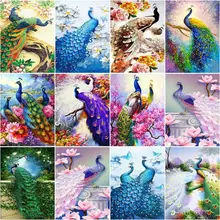 

CHENISTORY 60x75cm Frame Paint By Number For Adults Peacock Animals Handpainted Oil Painting For Home Decors Artcraft Diy Gift