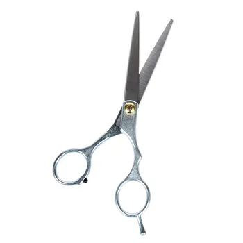 

Pets Scissors 6 Inch Both Spelling Directly Dog grooming Dog Cosmetology Trimming Scissors Pets Dog Scissors Pets Cosmetology