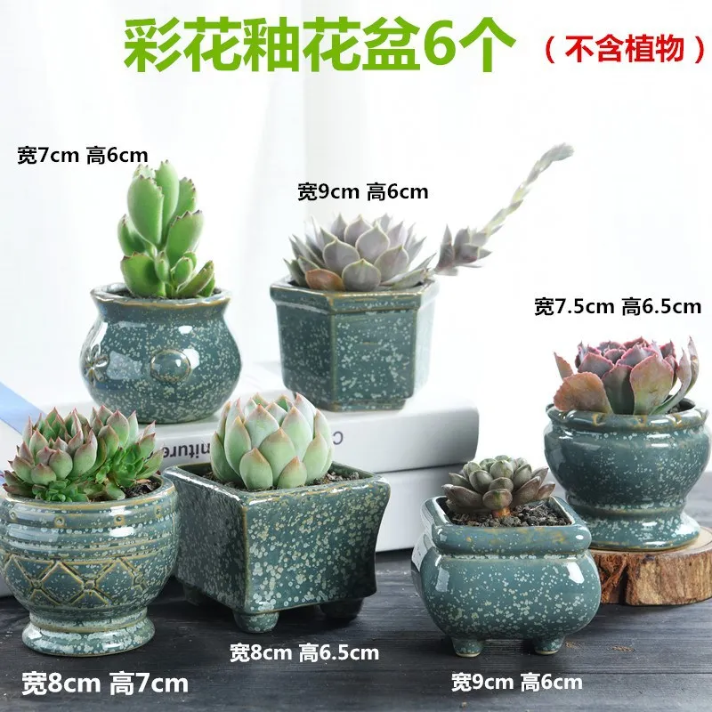 Succulent Pots 6 Pack Mini Ceramic Pots Small Flower Planter, Bonsai Cactus Pot with Drainage Hole Perfect Decoration Gift