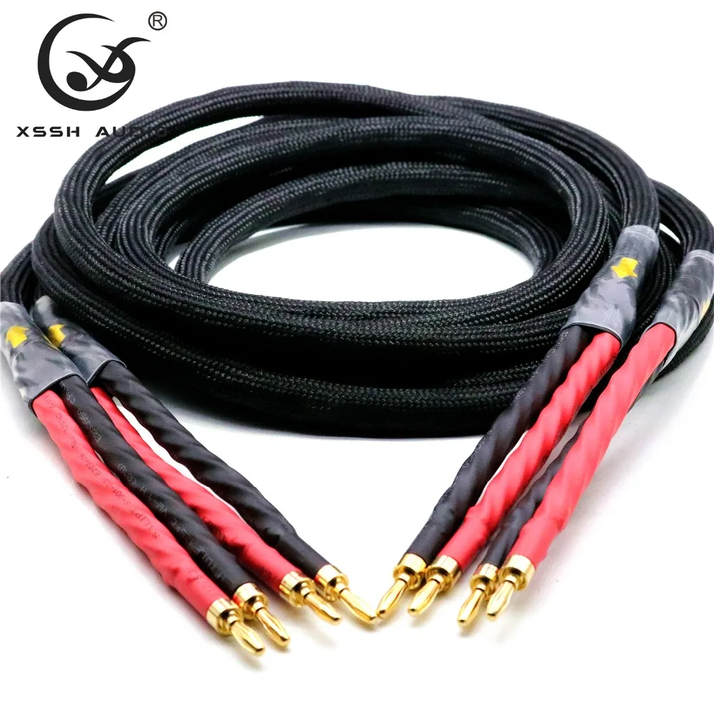 1 пара XSSH аудио Hi-end DIY HIFI позолоченные 4 вилки типа банан для вилок посеребренный