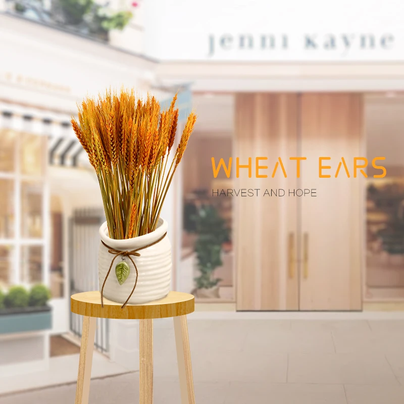 Натуральные высушенные цветы пшеницы 50 шт. свадебное украшение для вечеринки