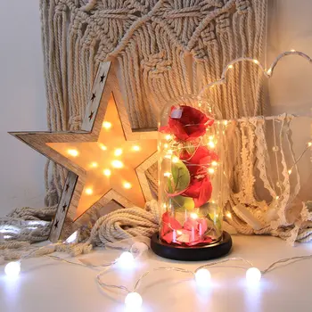 

Rose LED Night Lamp String Light in a Glass Dome Wooden Base Valentine's Day Gifts Room Decor Battery Power