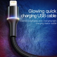 Baseus kabel USB do iPhone 12 11 13 Pro XS Max Xr X 8 7 6 oświetlenie LED szybka ładowarka data kabel telefoniczny do ipada przewód drutowy 3